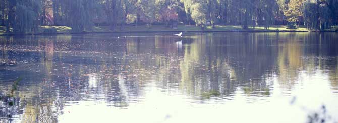 In unmittelbarer Nähe zu unser Praxis liegt der Schäfersee mit einer schönen Parkanlage, die für individuelle Trainingseinheiten oder Kurse genutzt werden kann
